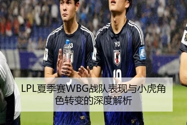 LPL夏季赛WBG战队表现与小虎角色转变的深度解析